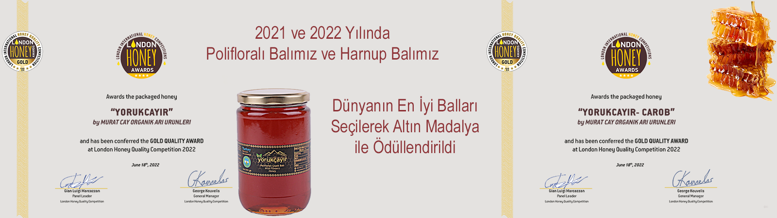 Dünyanın en iyi balları